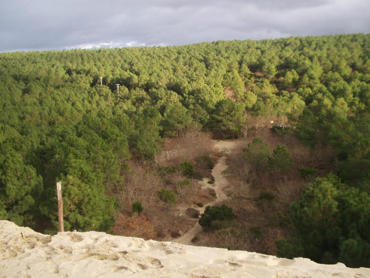 Les Amandiers Biscarrosse Kültér fotó