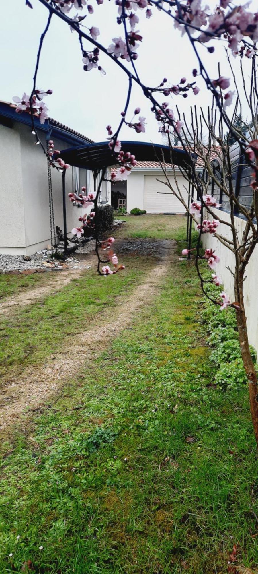 Les Amandiers Biscarrosse Kültér fotó